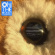 The Wombats - Oh! The Ocean (Blue Lp) The Wombats - Oh! The Ocean (Blue Lp)