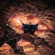 Väth Sven - Catharsis (Cd+Dlx. Print) Väth Sven - Catharsis (Cd+Dlx. Print)