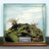 Philippe B - Taxidermie Philippe B - Taxidermie