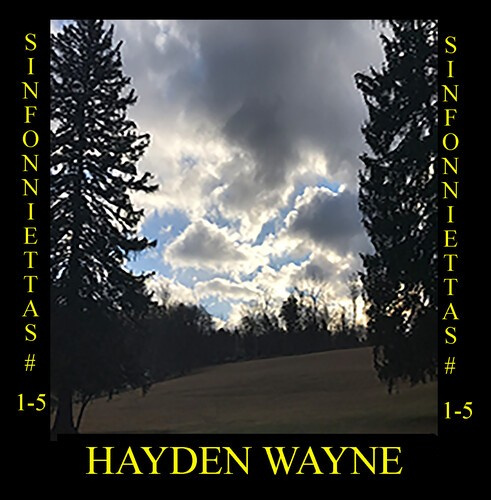 Hayden Wayne - Sinfoniettas # 1-5