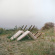 Planning For Burial - It's Closeness, It's Easy Planning For Burial - It's Closeness, It's Easy