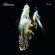 The Courteeners - Falcon The Courteeners - Falcon