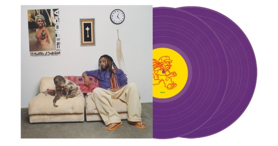 Aminé - 13 Months Of Sunshine (Purple Vinyl Edition)