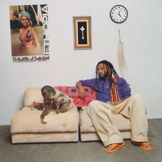 Aminé - 13 Months Of Sunshine (Black Vinyl)