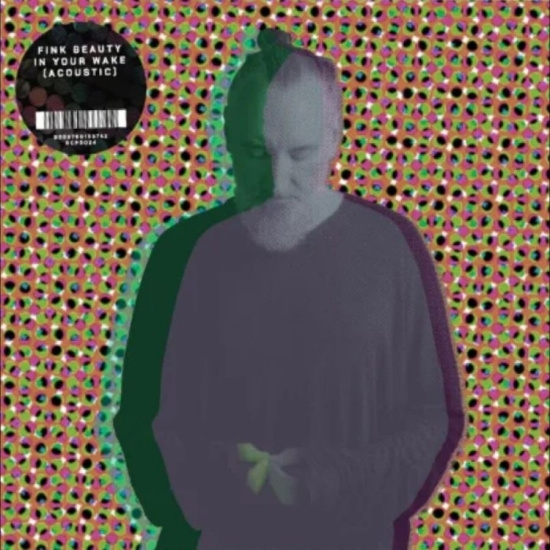 Fink - Beauty In Your Wake Acoustic
