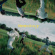 The Band Camino - Neveralways The Band Camino - Neveralways