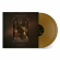 Paradise Lost - Ascension (Ltd Indie 2LP Gold Vinyl / Gatefold) Paradise Lost - Ascension (Ltd Indie 2LP Gold Vinyl / Gatefold)