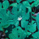 Early Fern - Wetland Interiors Early Fern - Wetland Interiors