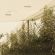 Necks The - Disquiet Necks The - Disquiet