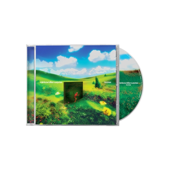 Rainbow Kitten Surprise - Bones