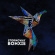 Stornoway - Bonxie Stornoway - Bonxie