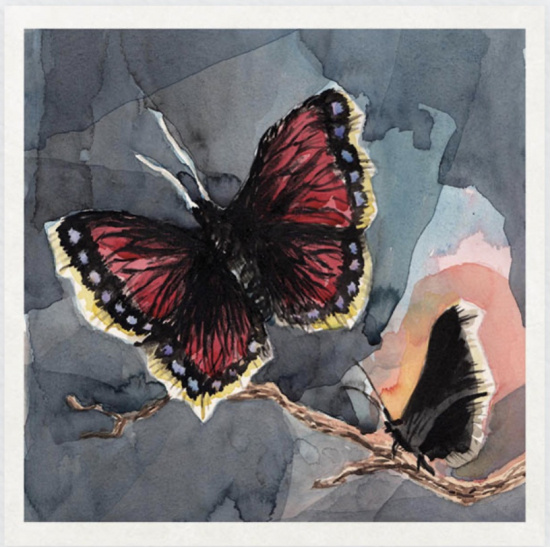 Fredrik Uhlmann - Sorgmantel (Digipak CD)