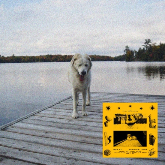 Jaguar Sun - Daisy (Black And Yellow Swirl Vinyl