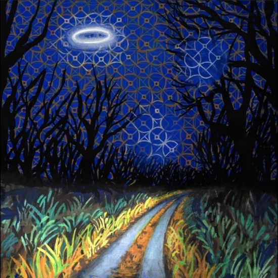 Toodles & The Hectic Pity - Every Night Is A Beautiful Night