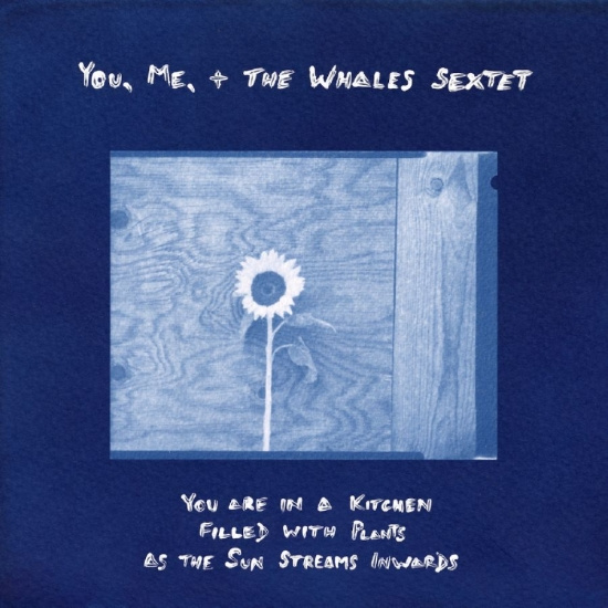 You Me + The Whales Sextet - You Are In A Kitchen Filled With Pl