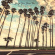 Young Gun Silver Fox - West End Coast Young Gun Silver Fox - West End Coast