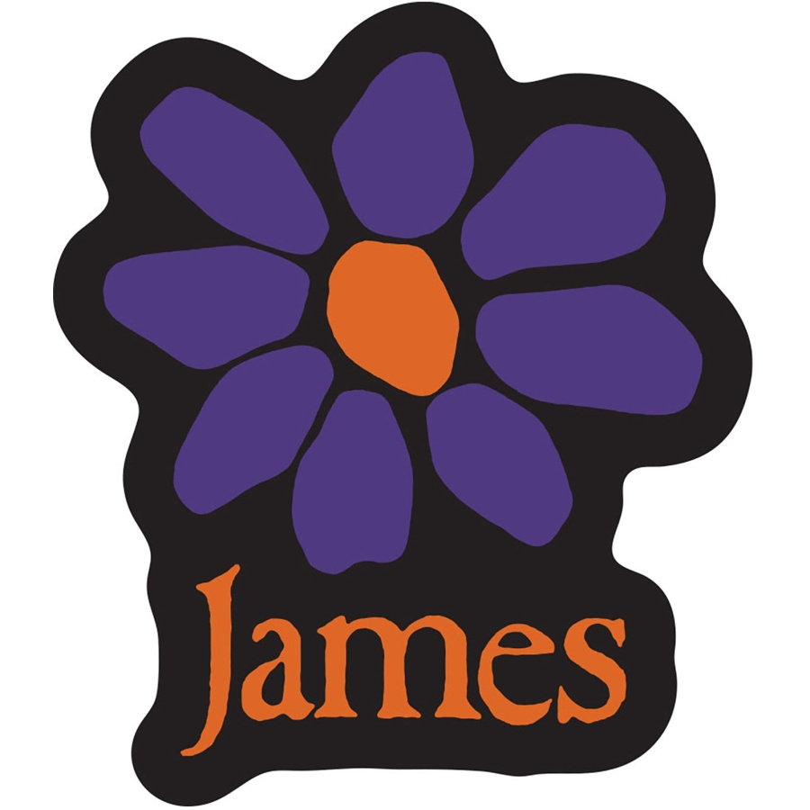 James - Orange Logo Purple Daisy Sticker