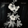 Strange Girls The - Truly & Lyric Strange Girls The - Truly & Lyric