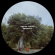 Gimenes Raphael - Dinamarca Gimenes Raphael - Dinamarca