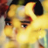 Durand Bernarr - Bloom (2Lp Black Vinyl, 8 Pages Boo Durand Bernarr - Bloom (2Lp Black Vinyl, 8 Pages Boo