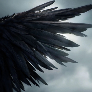 We Go 6 - Six Hearts - (Angel Photocard Ver.) (QR Ver.)