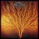 Van Der Graaf Generator - Still Life Van Der Graaf Generator - Still Life