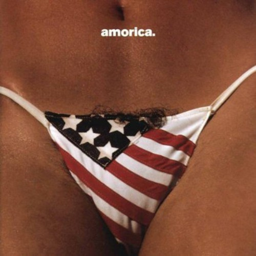 The Black Crowes - Amorica