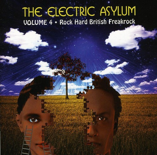 Blandade Artister - Electric Asylum Vol 4