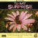 To My Surprise - To My Surprise To My Surprise - To My Surprise
