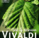 Vivaldi Antonio - The Four Seasons Vivaldi Antonio - The Four Seasons