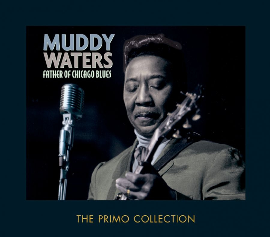 Waters Muddy - Father Of Chicago Blues