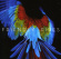 Friendly Fires - Pala Friendly Fires - Pala