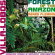 Heitor Villa-Lobos - Forest Of The Amazon Heitor Villa-Lobos - Forest Of The Amazon