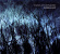 O Lionaird Iarla - Foxlight O Lionaird Iarla - Foxlight