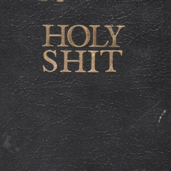 Living With Lions - Holy Shit