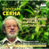 Cerha - Violin Music Cerha - Violin Music