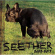 Seether - Seether: 2002 - 2013 Seether - Seether: 2002 - 2013